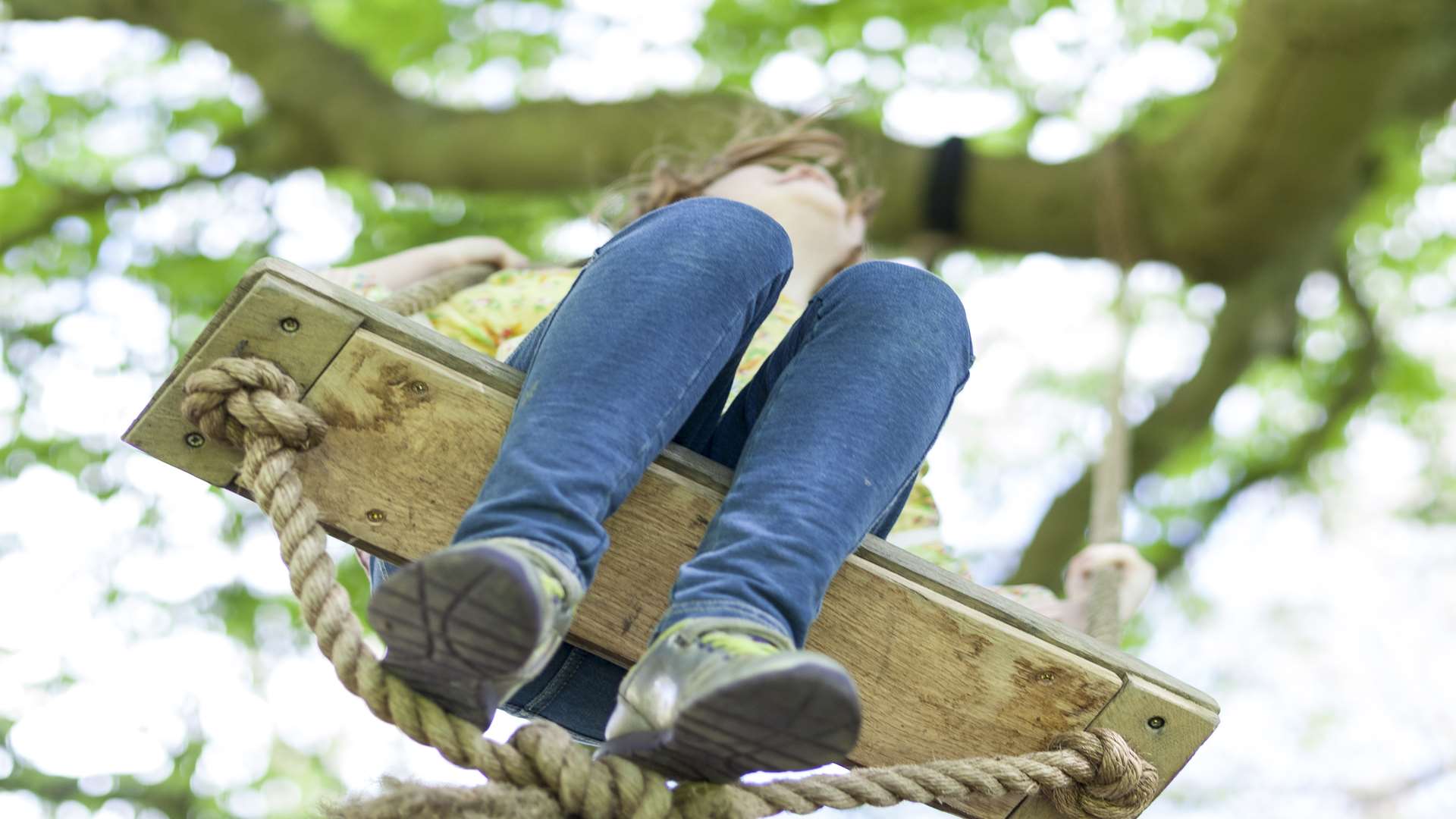 Have fun this half term with the National Trust Picture: Oskar Proctor