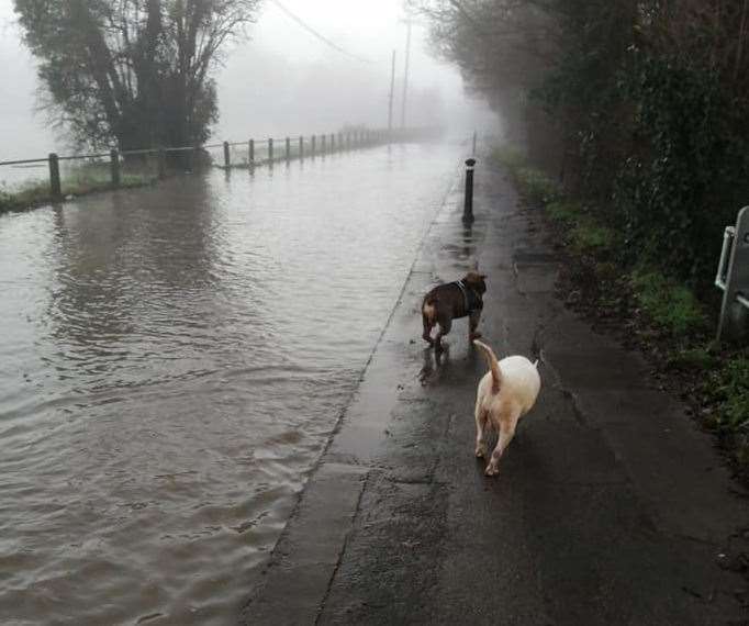 Teapot Island and the Lees in Yalding from this afternoon. Picture: Grant Maloney