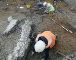 The dig at Ebbsfleet