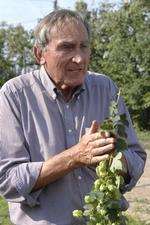 Anthony Redsell, hop farmer