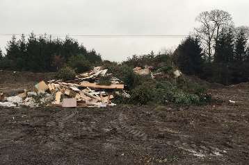 Some of the trees at Kingswood which didn't make the cut this year