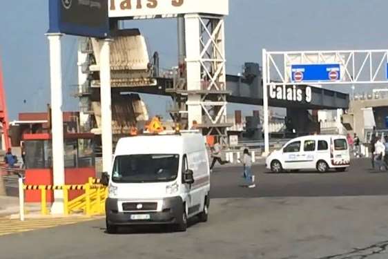 Darting to avoid capture, they make a bolt for the P&O ferry. Picture: Mark Salt