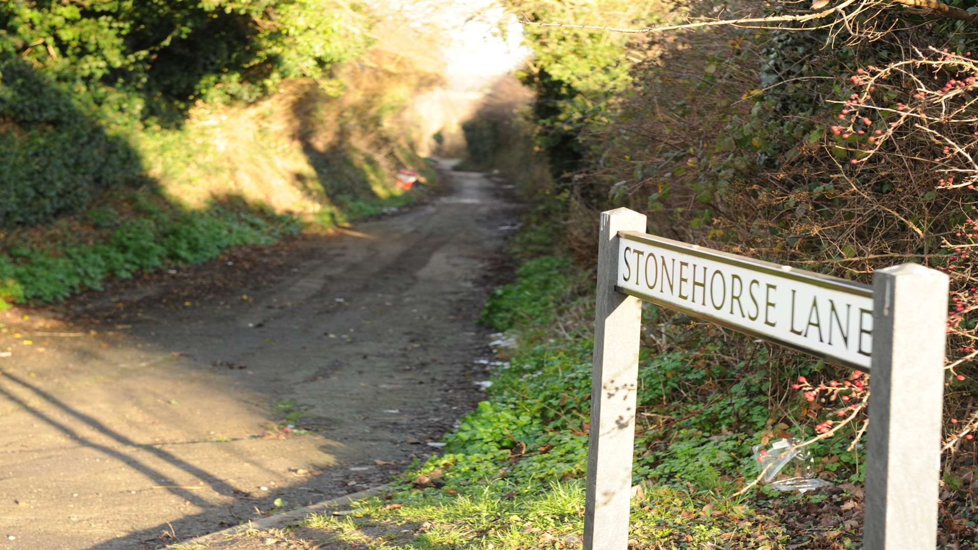 The road that leads to the orchard