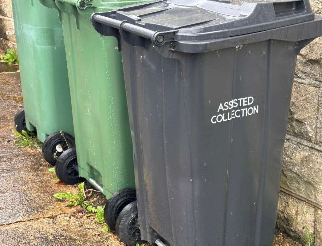 While the situation continues, Joy's daughters have purchased an assisted bin collection sticker to signpost to the refuse workers that help is needed