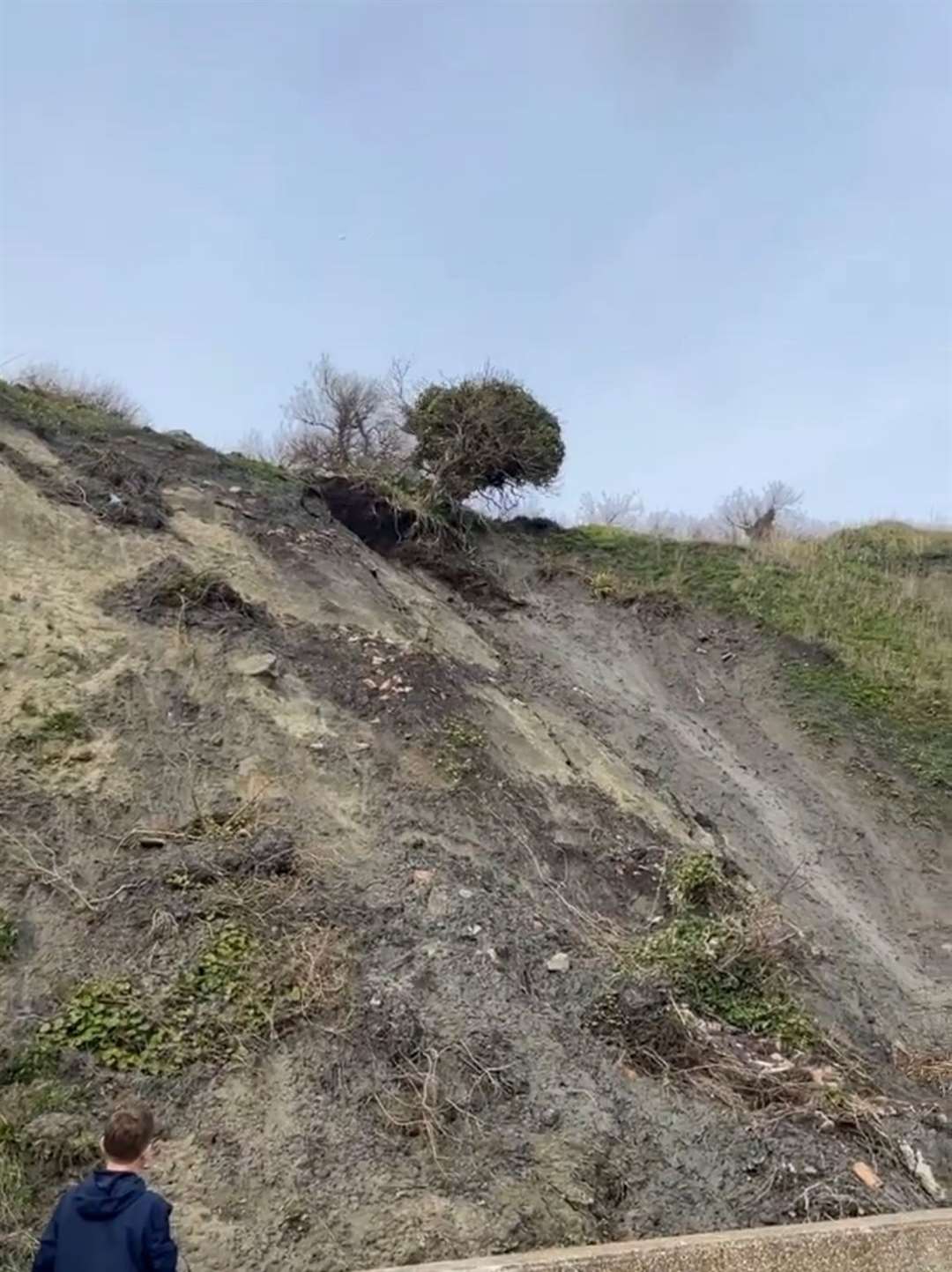 Jon Beard says he saw 'chunks of soil rolling down the slope' before the tree fell. Picture: Jon Beard