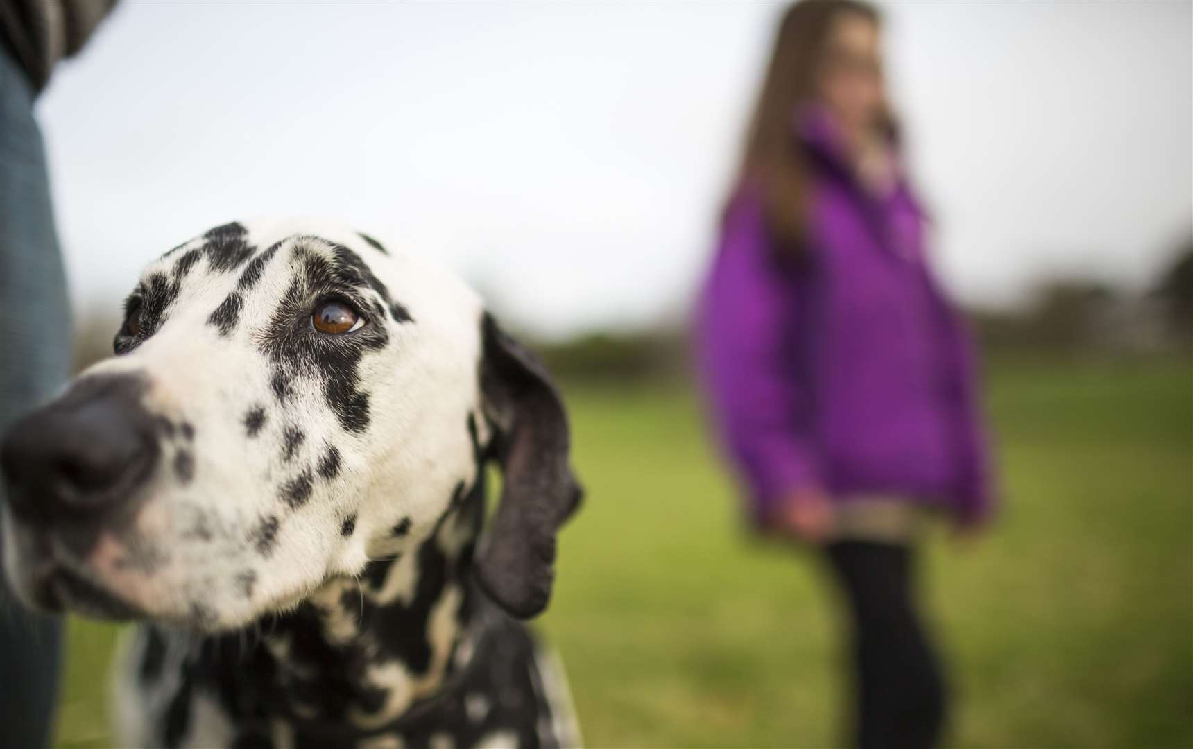 Picture: National Trust/Chris Lacey