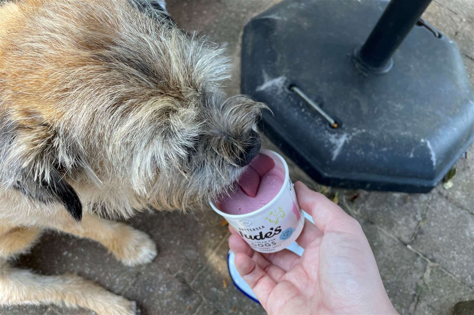 Defa enjoyed his ice cream