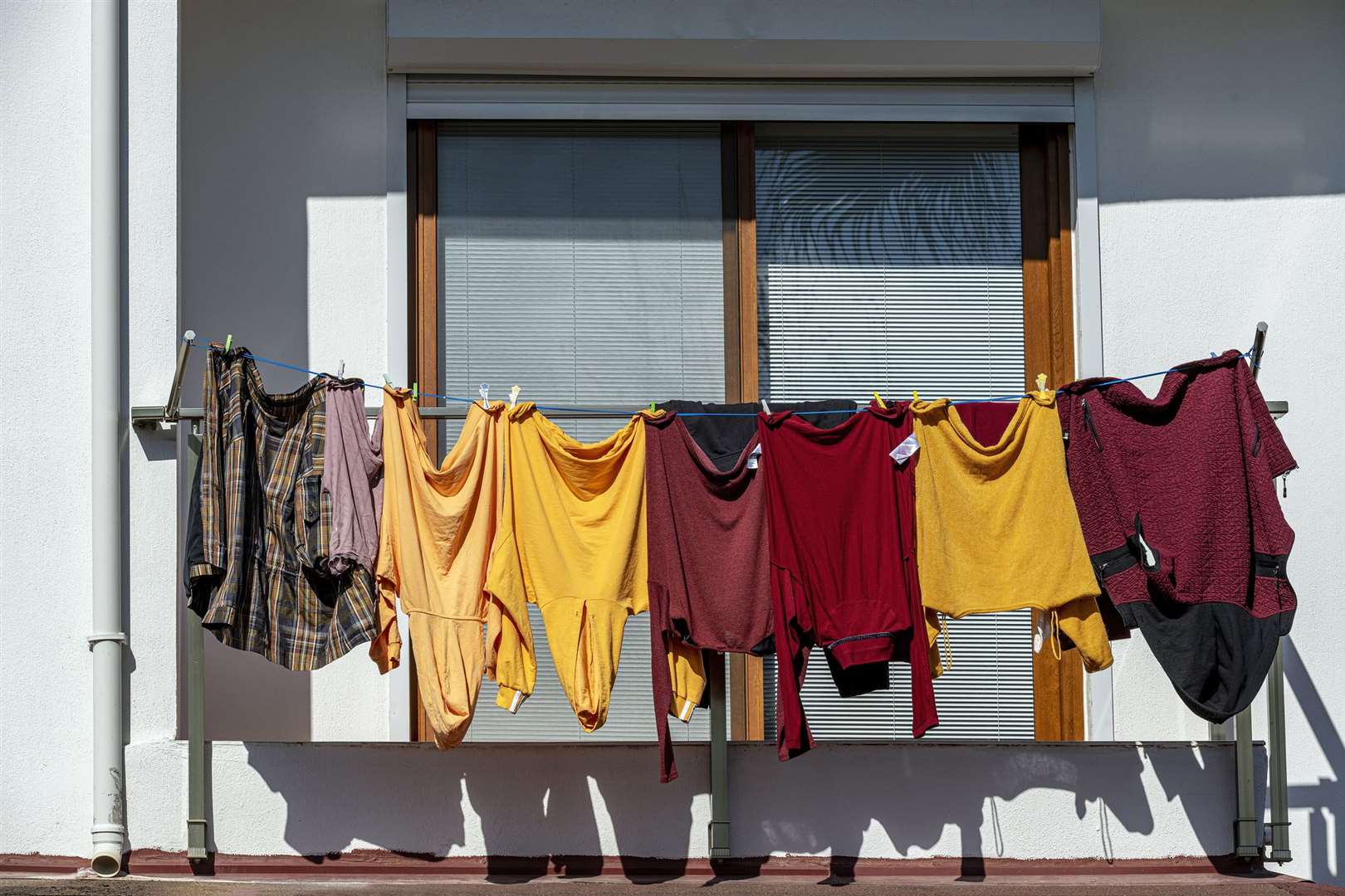 Don't dry washing outside when the pollen count is high