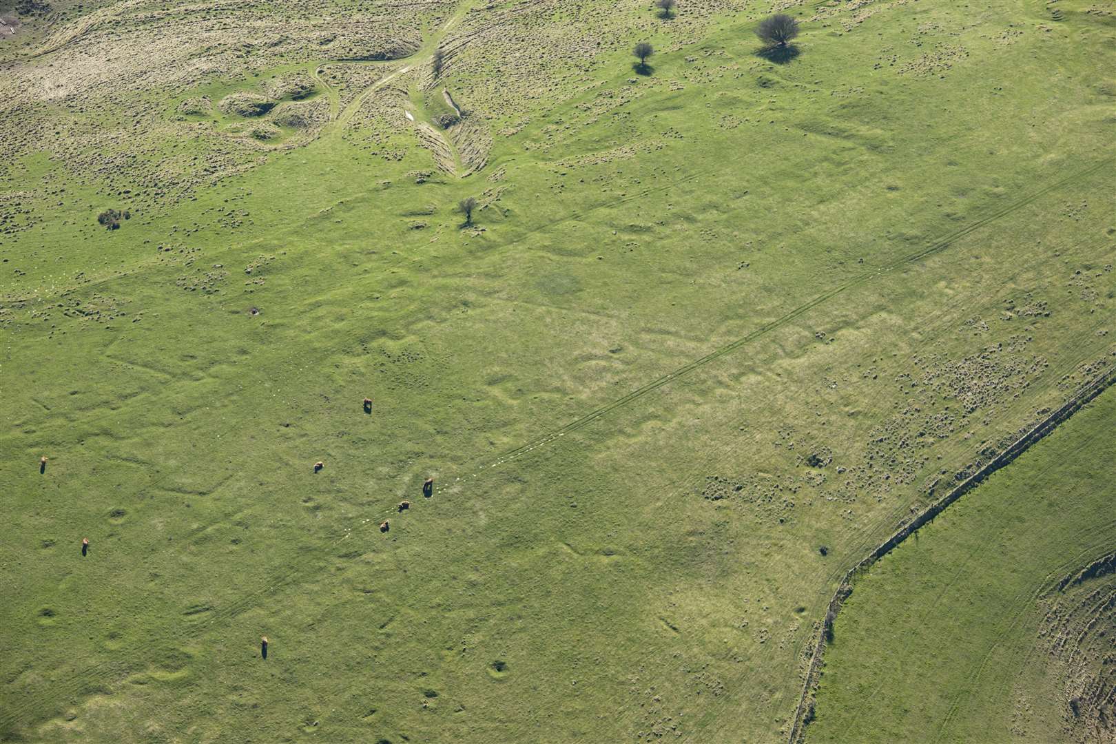 You can make out the outline of First World War training trenches in Saltwood Picture: Historic England