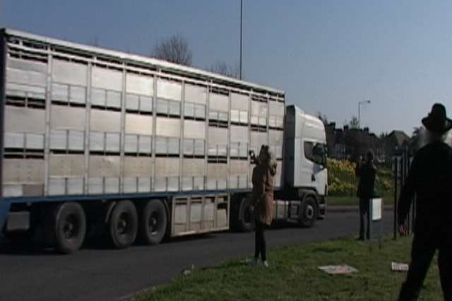 One of the lorries carrying live sheep arrives at the Port of Ramsgate. Picture: Mike Pett