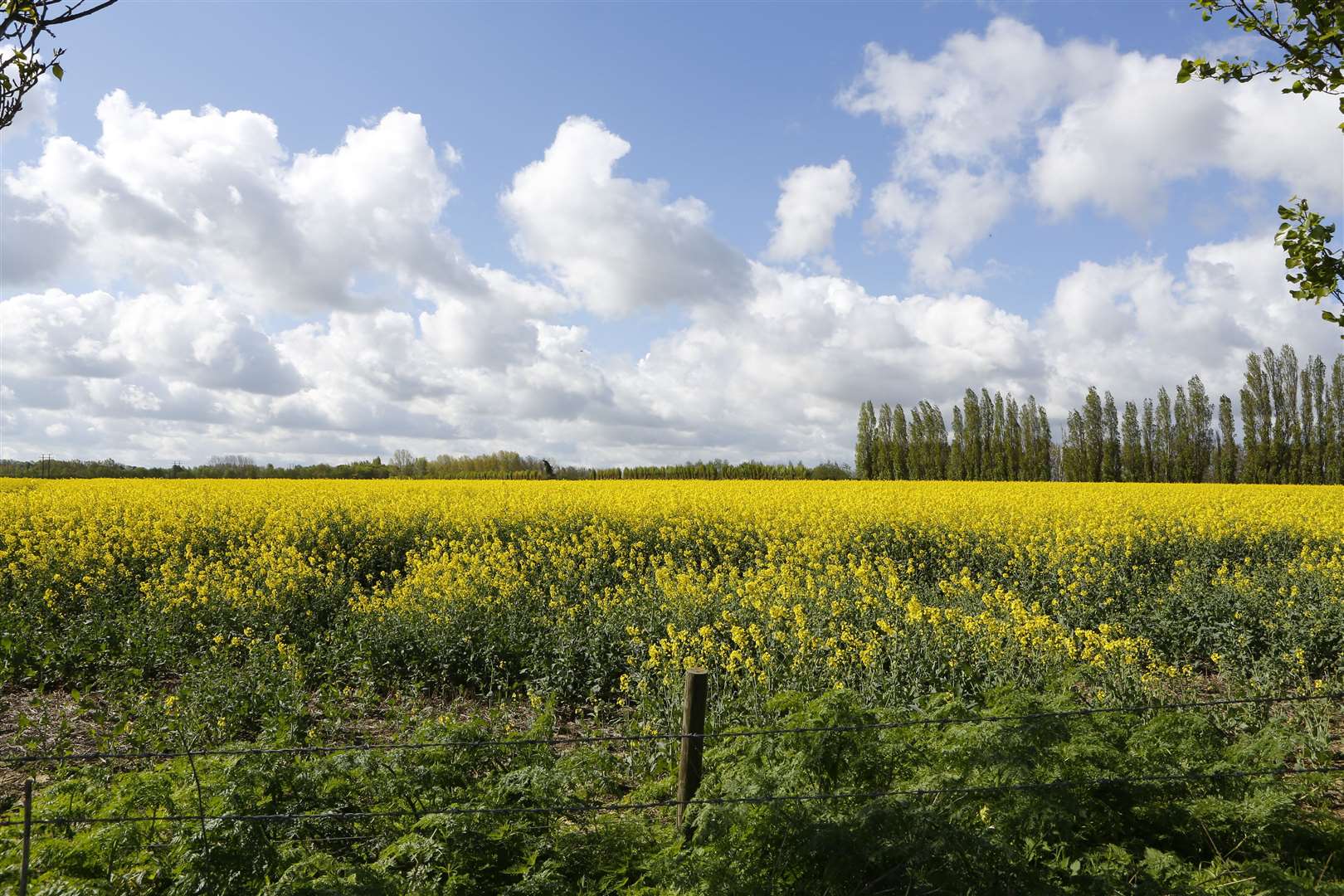 An outline planning application to turn the land into housing is set to be submitted at some stage next year