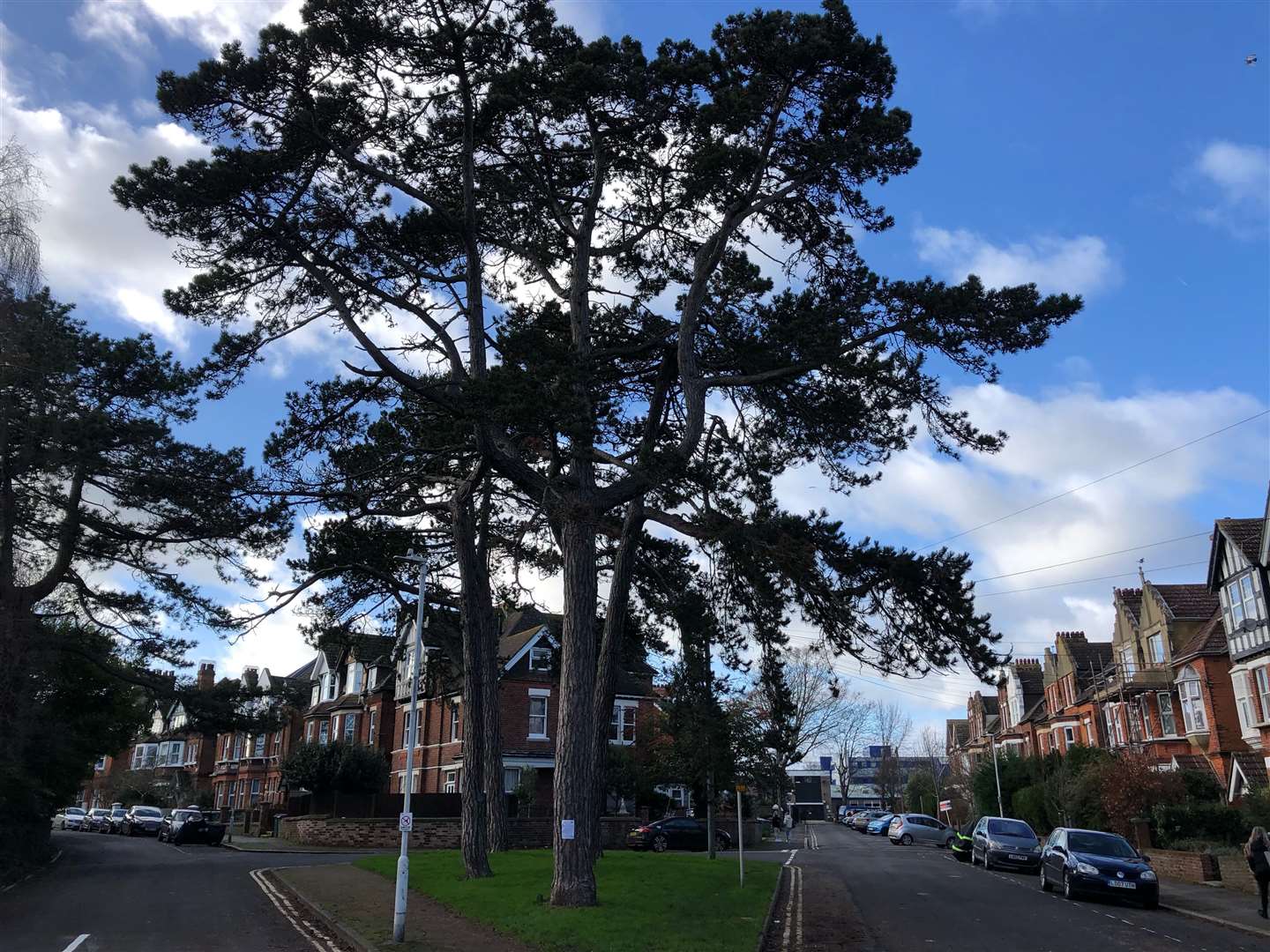 The sign was placed on a 2nd tree just outside the park.