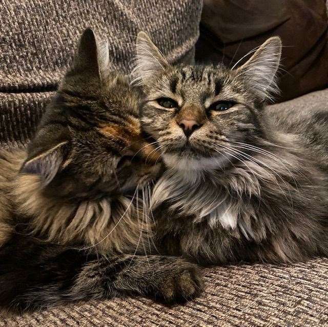 Hazel, with her son Simba. Picture: Lisa Fernandes