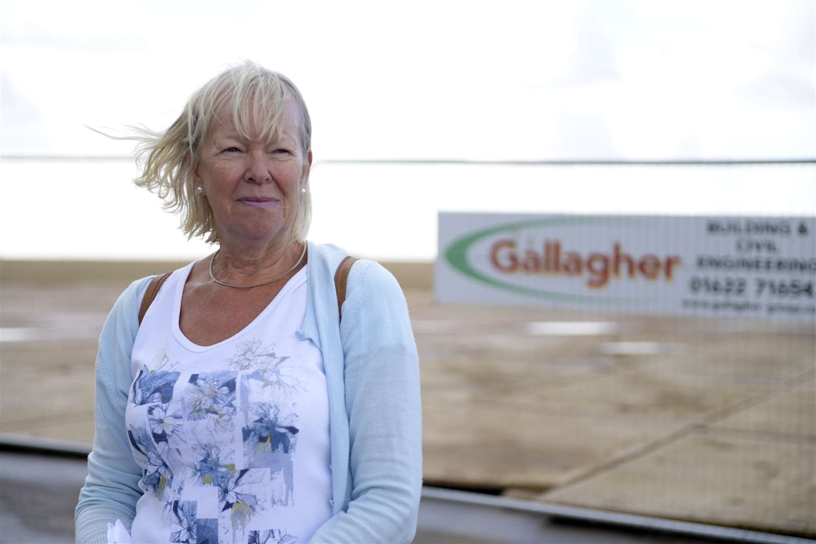 Linda Arthur of the Village Alliance campaign group Picture: Barry Goodwin