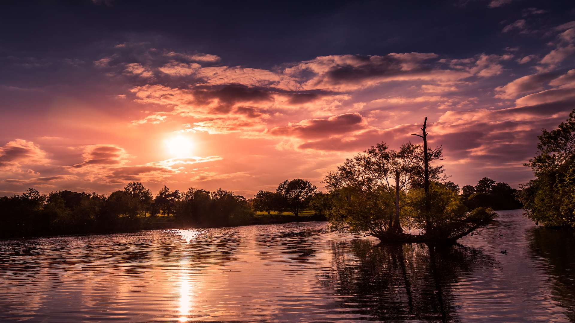 Jackie Lawrence's second place picture of the sunset over the lake