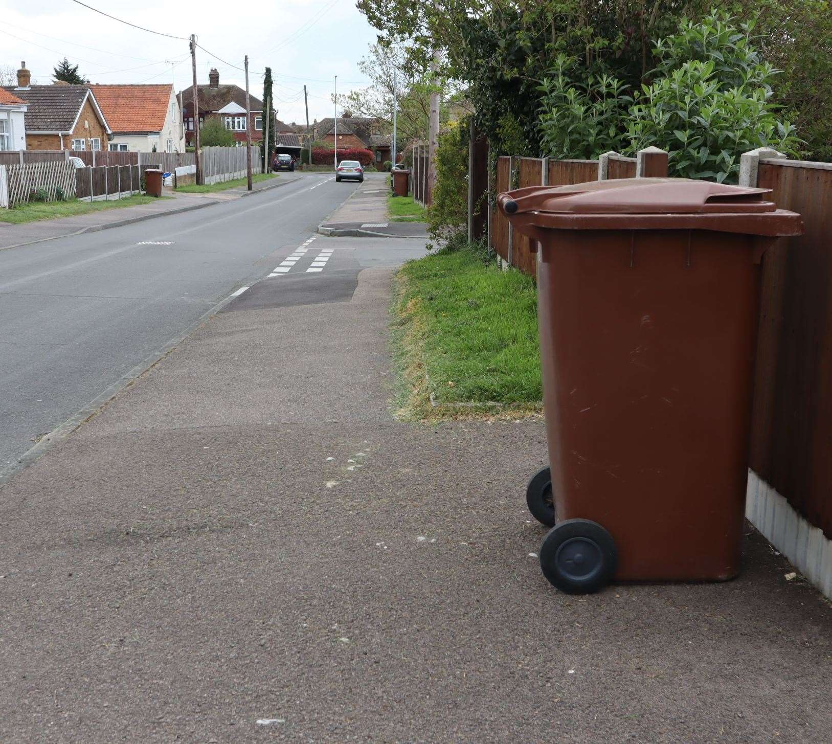 Brown bins are collected on a fortnightly basis across much of the county