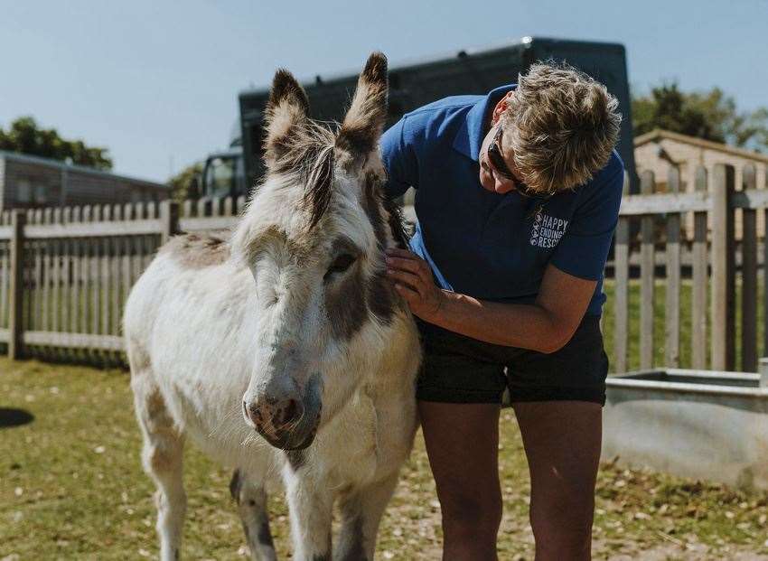 The charity is usually supported by a group of devoted volunteers and staff. Picture: Happy Endings Rescue