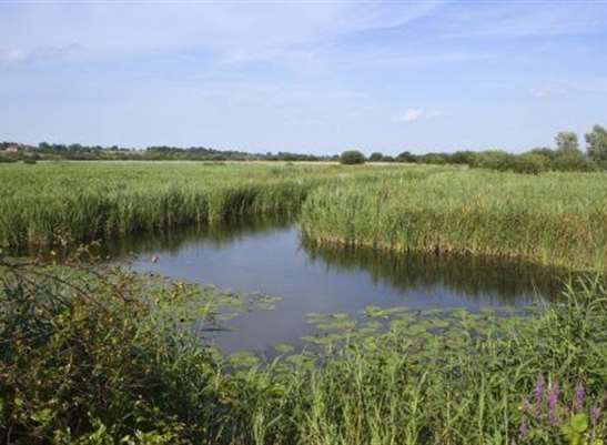 Stodmarsh nature reserve in Canterbury