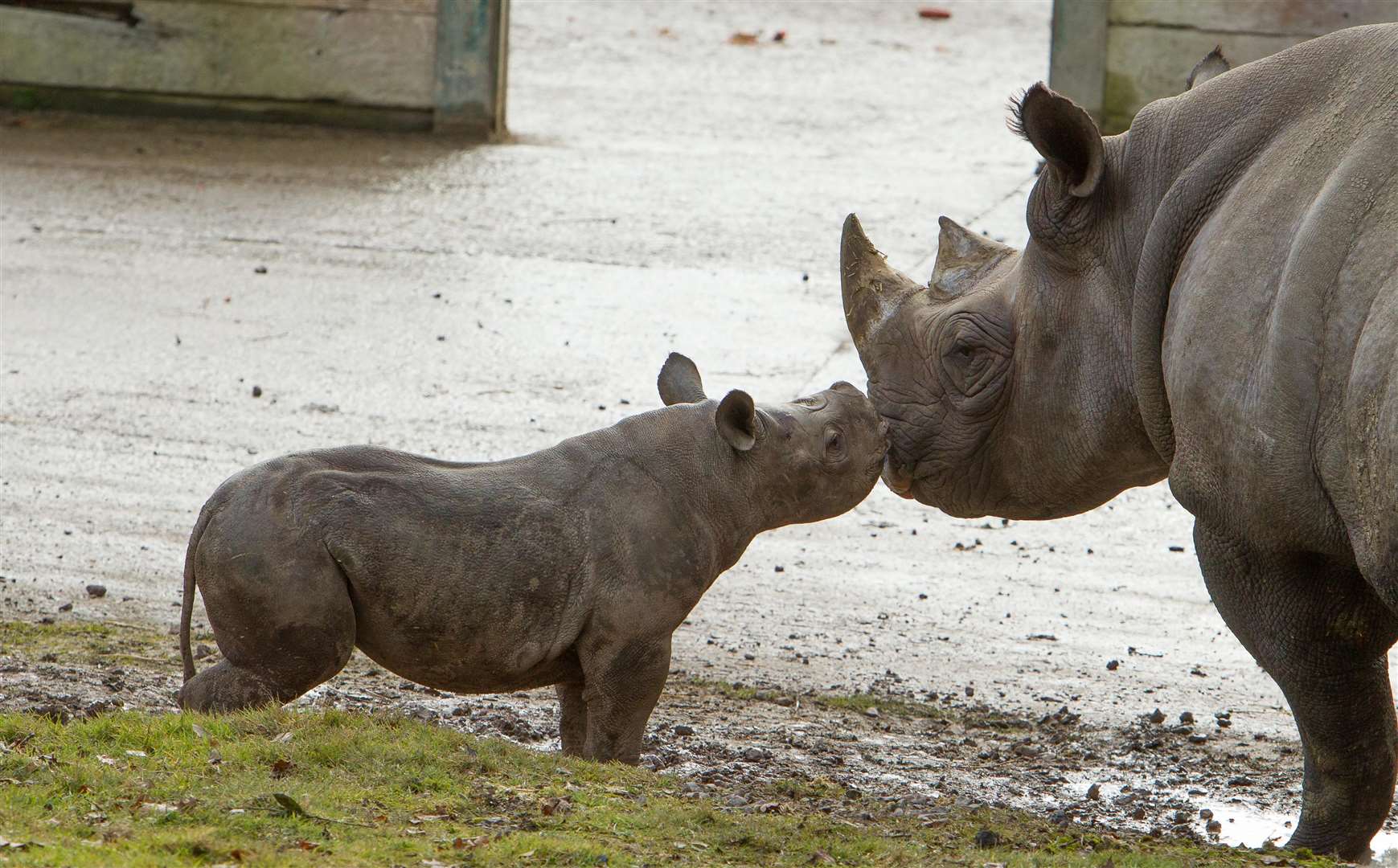 The reailty star posted from the safari in Hythe