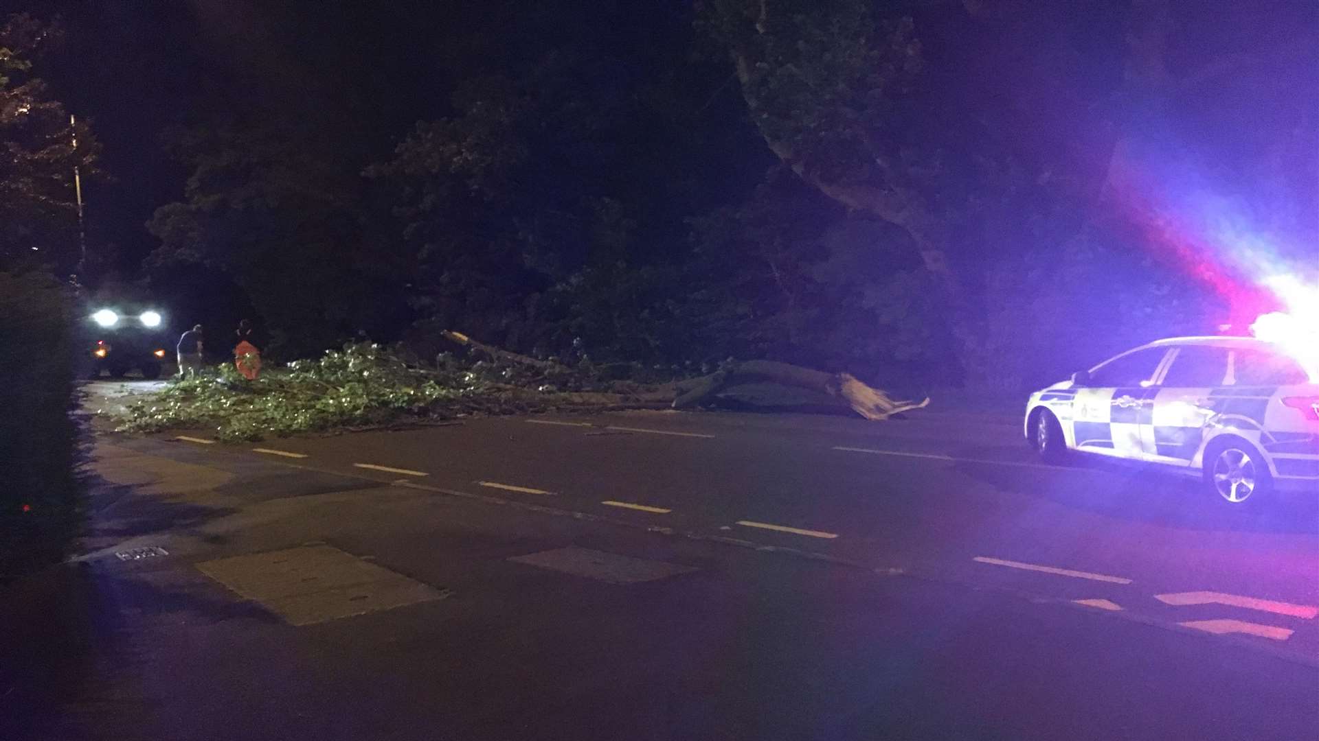 The large branch came down in Rainham.