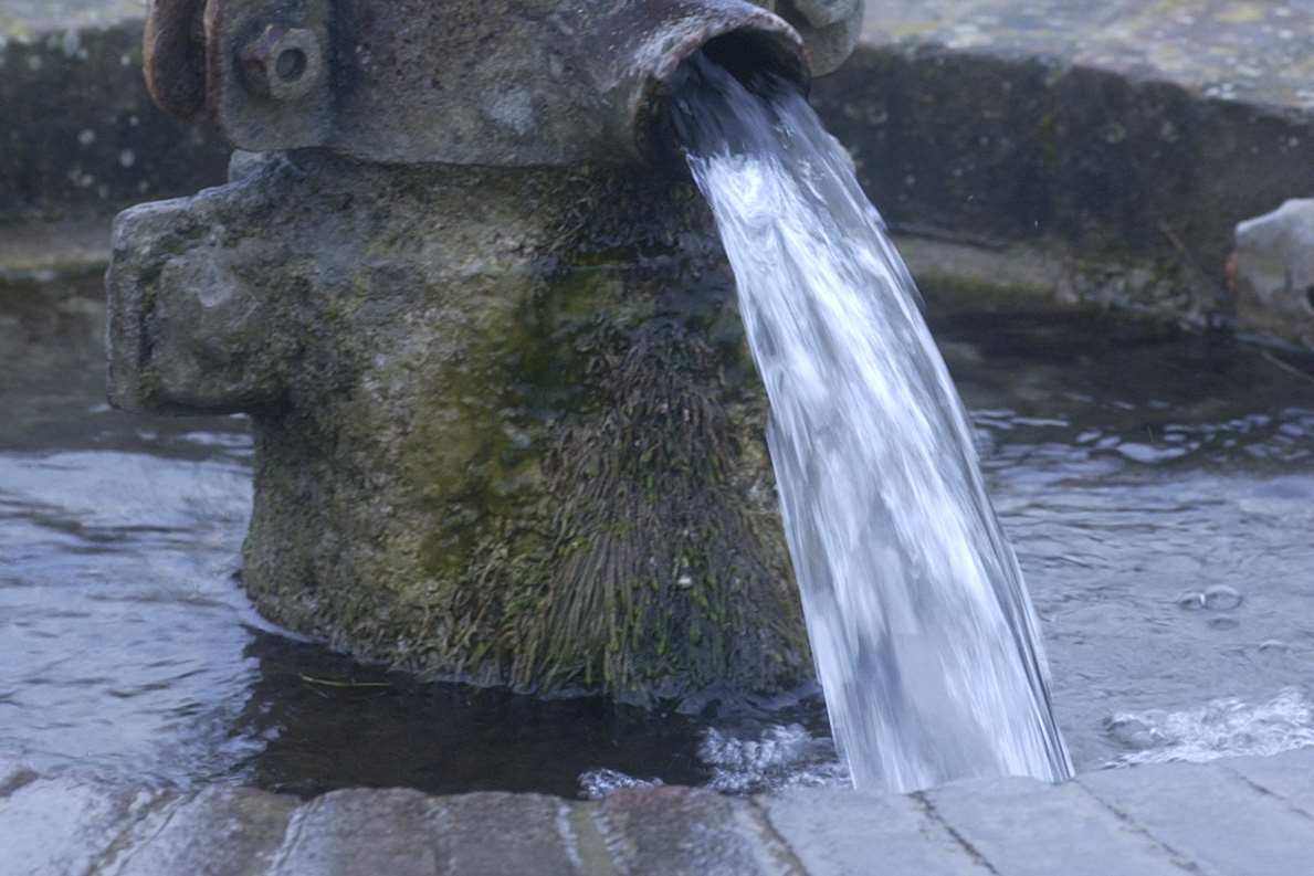 The Spring Head at Harty Ferry