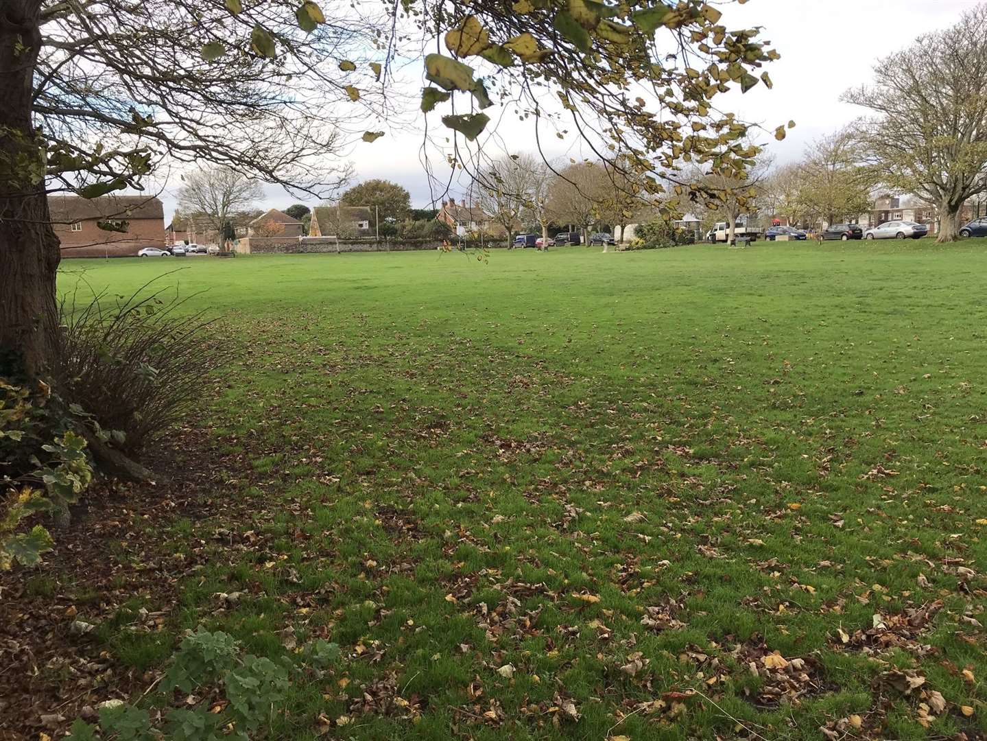 The bollards will be installed at St Martin's Field, New Romney. All pictures from Cllr Paul Thomas