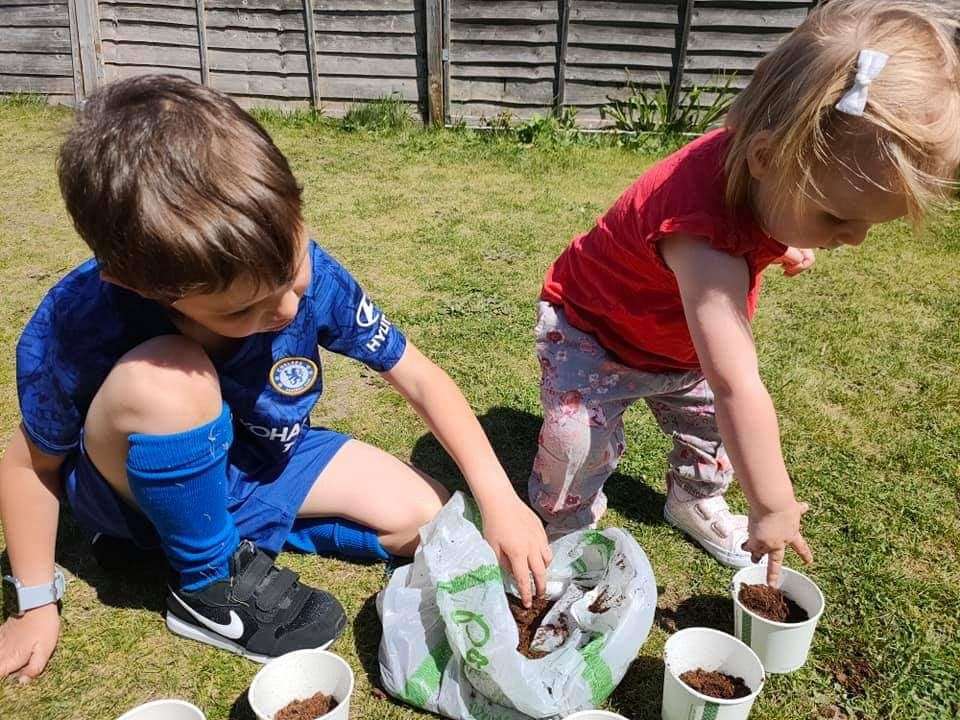 Oscar Underhay, five, and Lois, one, with their sunflowers