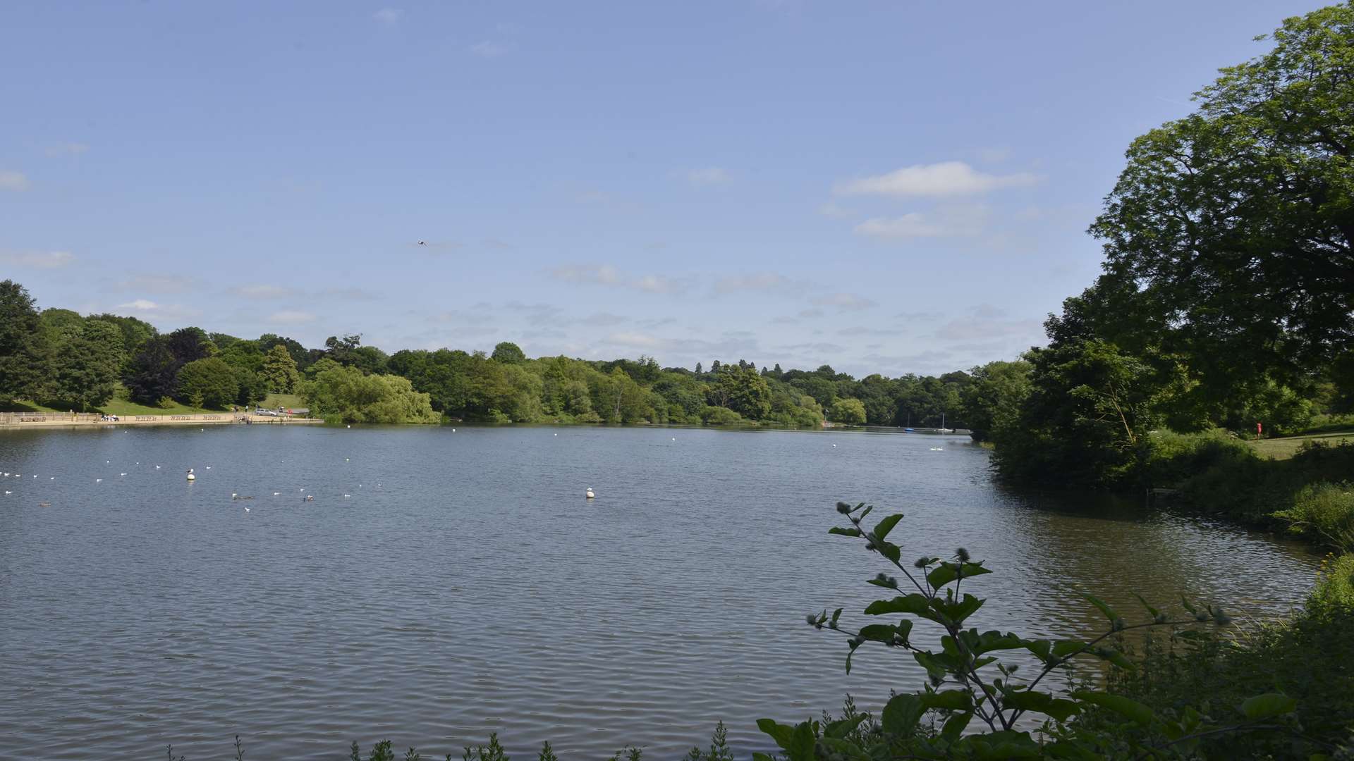 Mote Park in Maidstone already had a Green Flag award