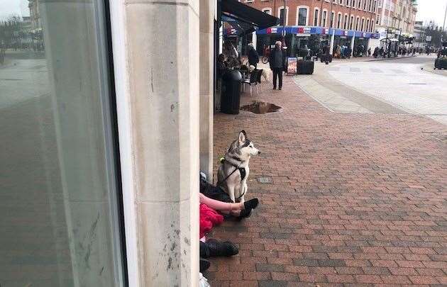 Where else in the county would you find the folk sitting in shop doorways have a well behaved husky as their dog of choice?