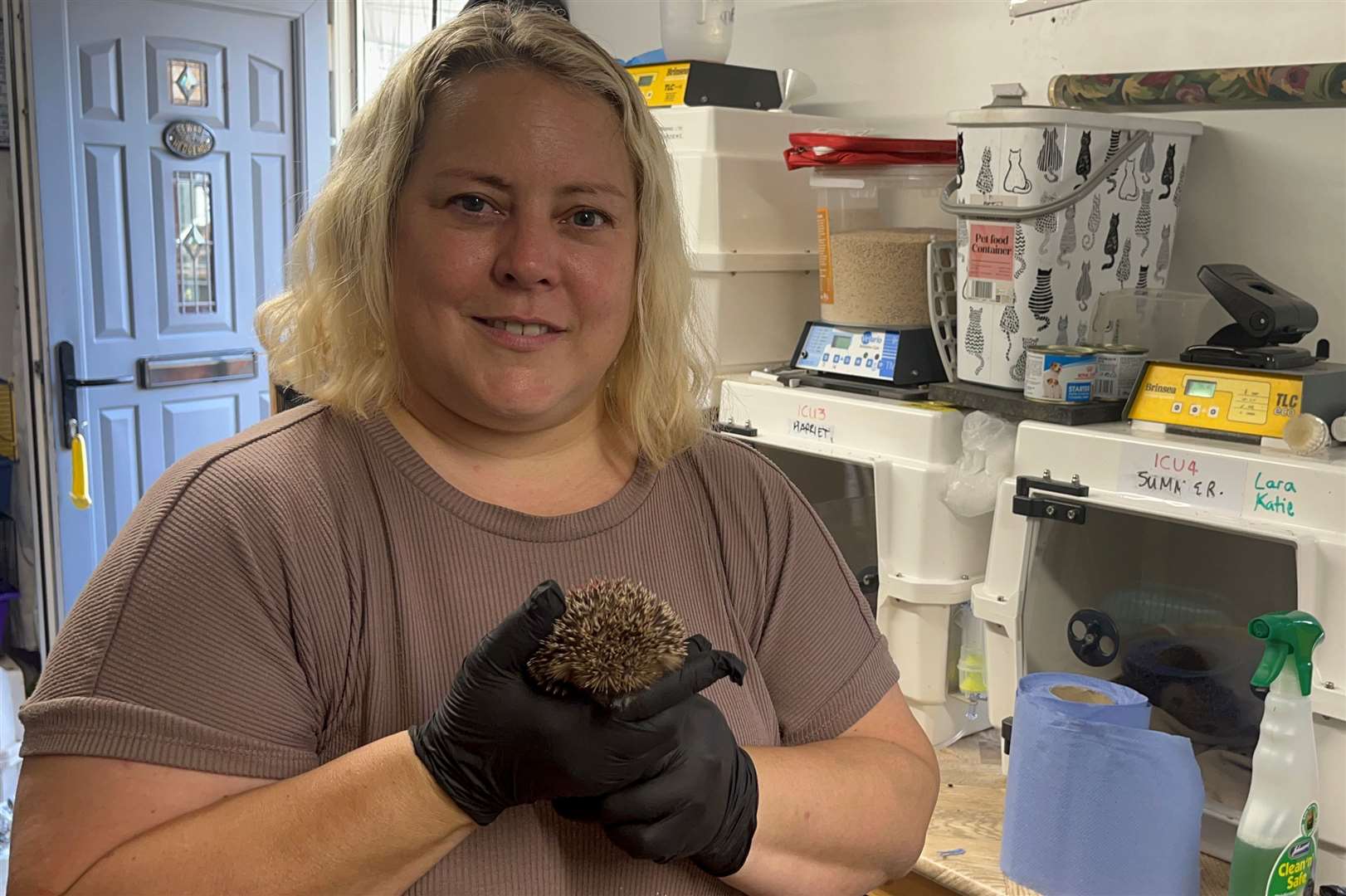 Lisa Steward opened Thorne Hedgehog Rescue from her home in Pluckley in 2021