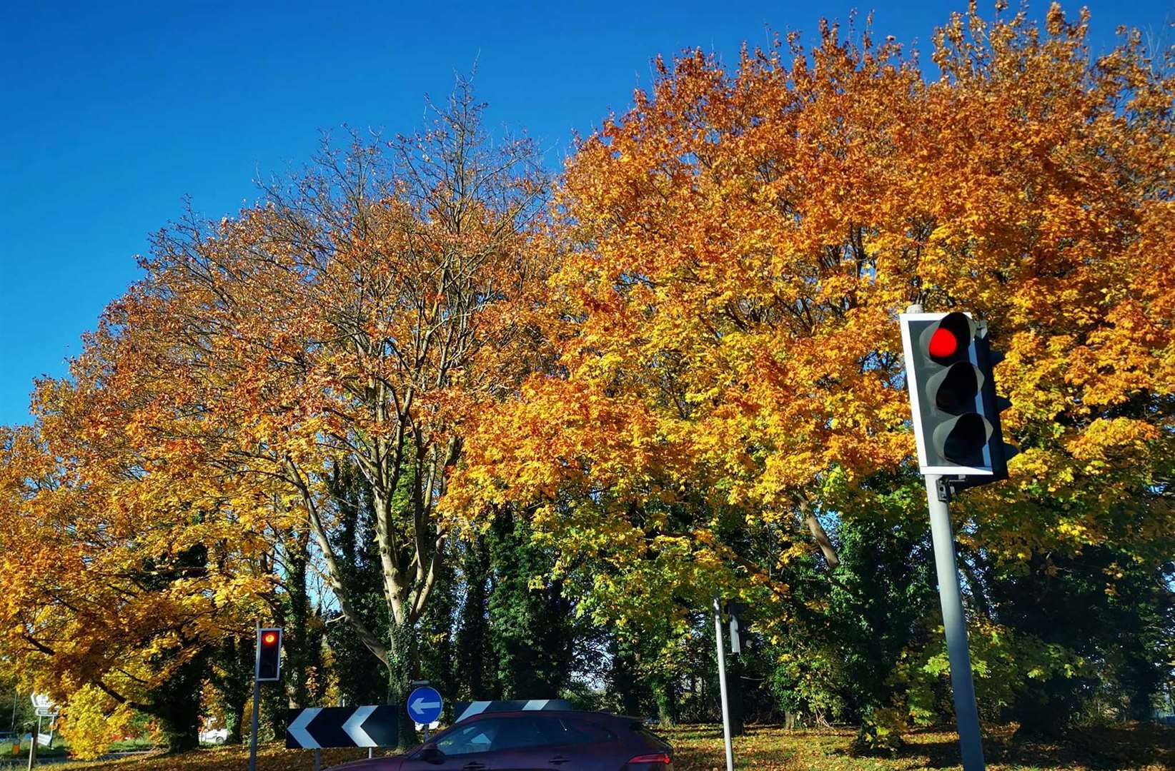 Forty trees have been cut down as part of the £5m revamp. Picture: Rachel Rodwell