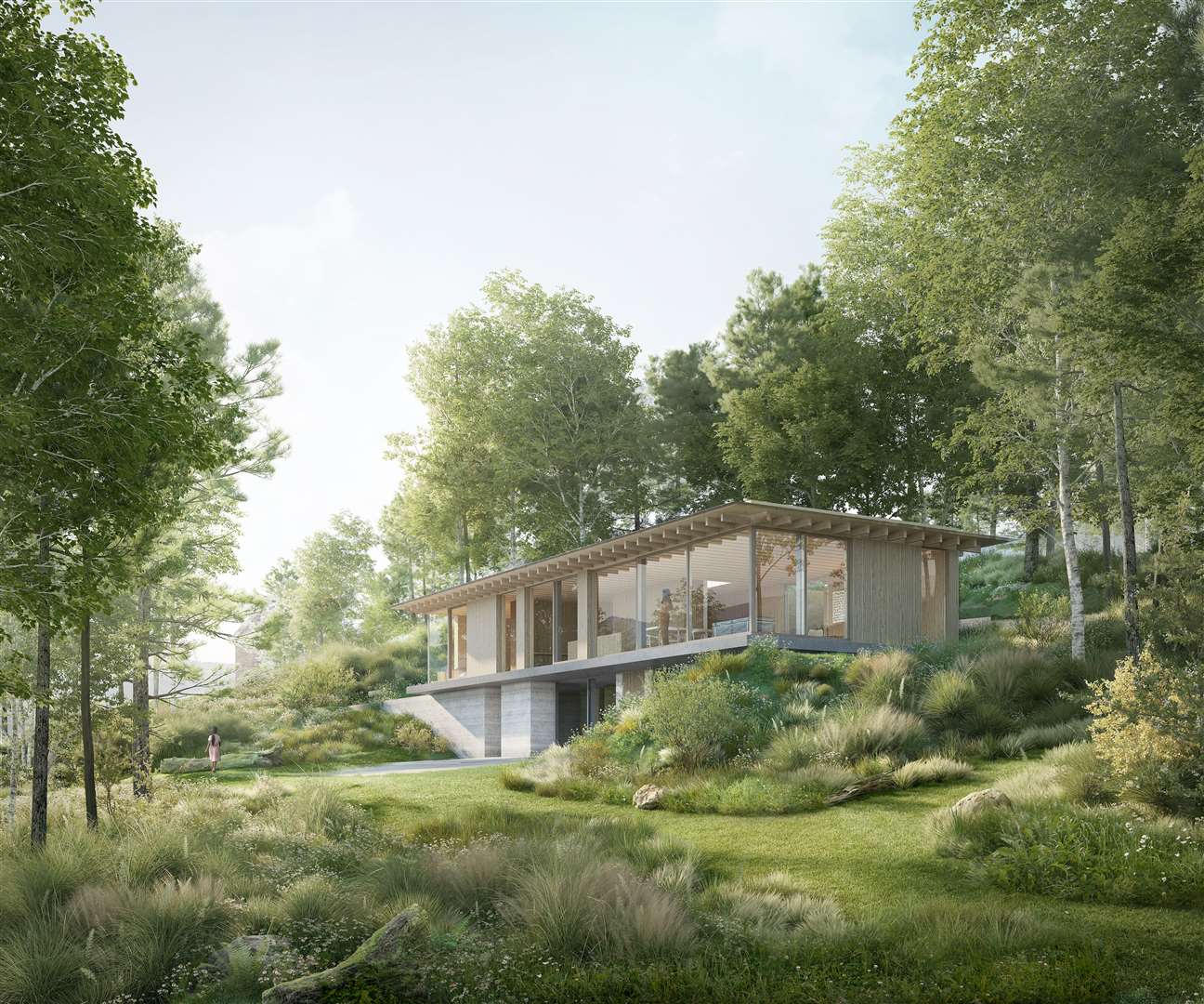 Stunning CGI showing the 'hidden house in the woods'. Pictures: Jonathan Burlow