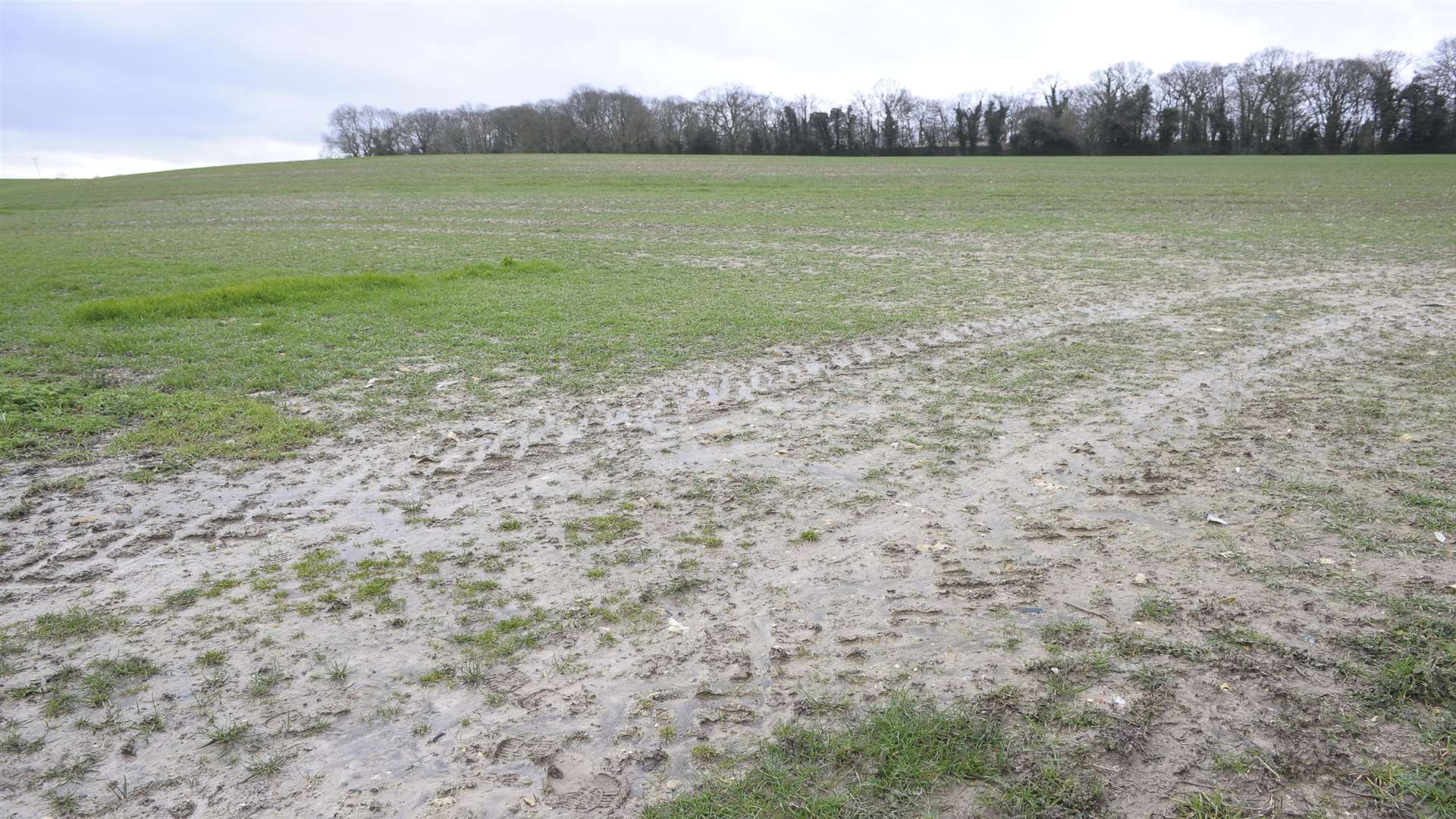 The land at Gibraltar Farm, Ham Lane, Gillingham.