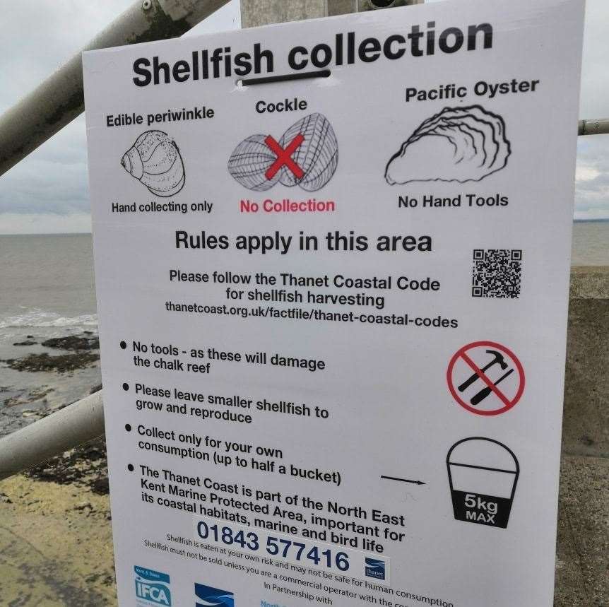 Signs at Western Undercliff in Ramsgate. Picture: Wildlife Conservation in Thanet