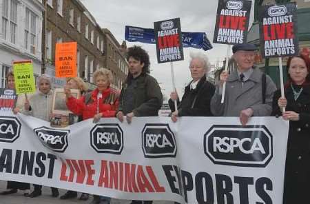 Some of the protestors who took part. Picture: MIKE SMITH