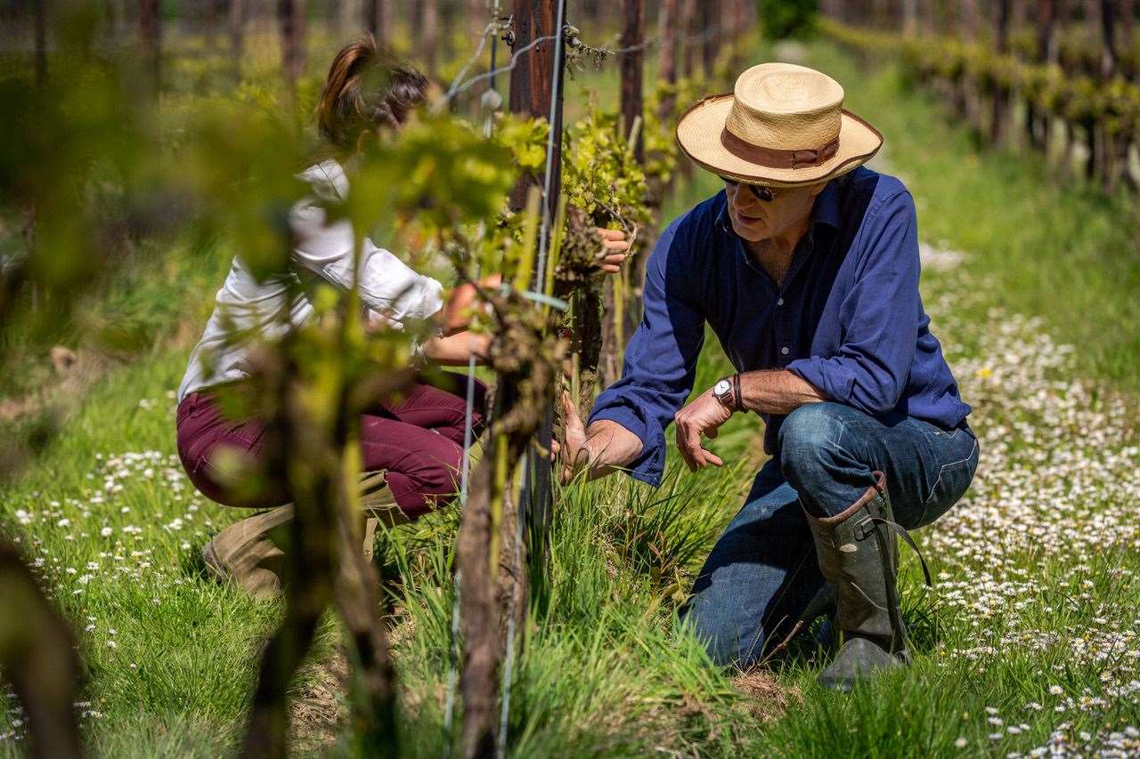 Herbert Hall Sparkling Brut picked up a top award. Picture: Andrew Yates Photography