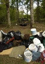 The scene at Denge Wood the morning after the party. Picture: PAUL DENNIS