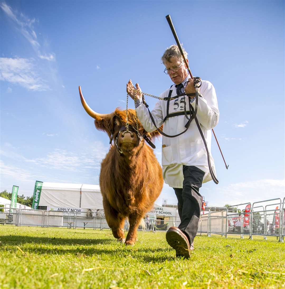 The traditional look of the Kent County Show