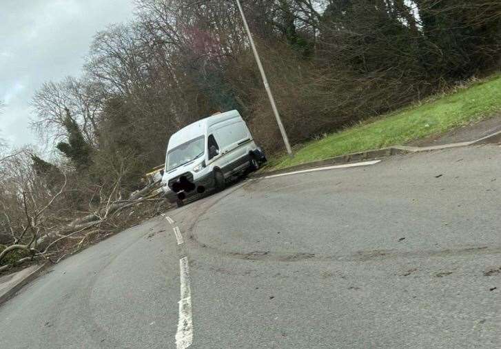 A tree blocking Mierscourt Road. Picture: Ashleigh Pritchard (54984391)