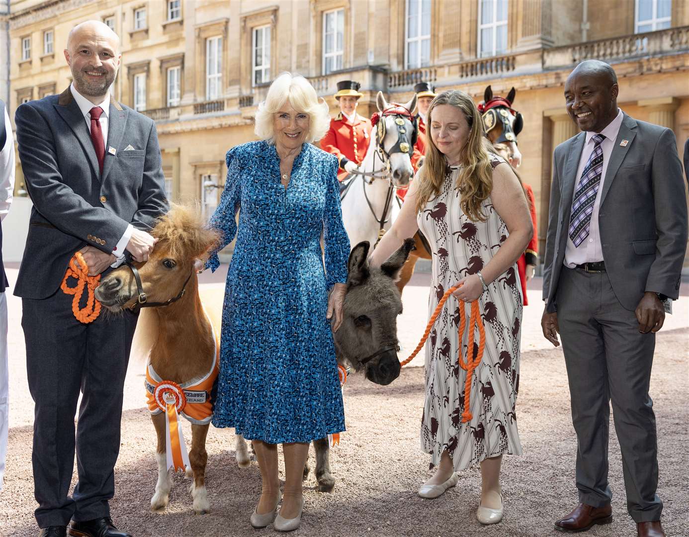 Camilla hosting a reception at Buckingham Palace for the Brooke charity in May (Daily Telegraph/Geoff Pugh/PA)