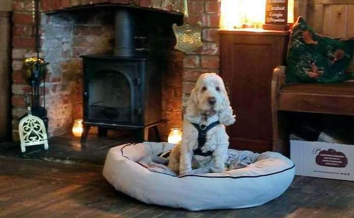 Murray in the Thomas Becket, Canterbury. Picture: Barry Reynolds