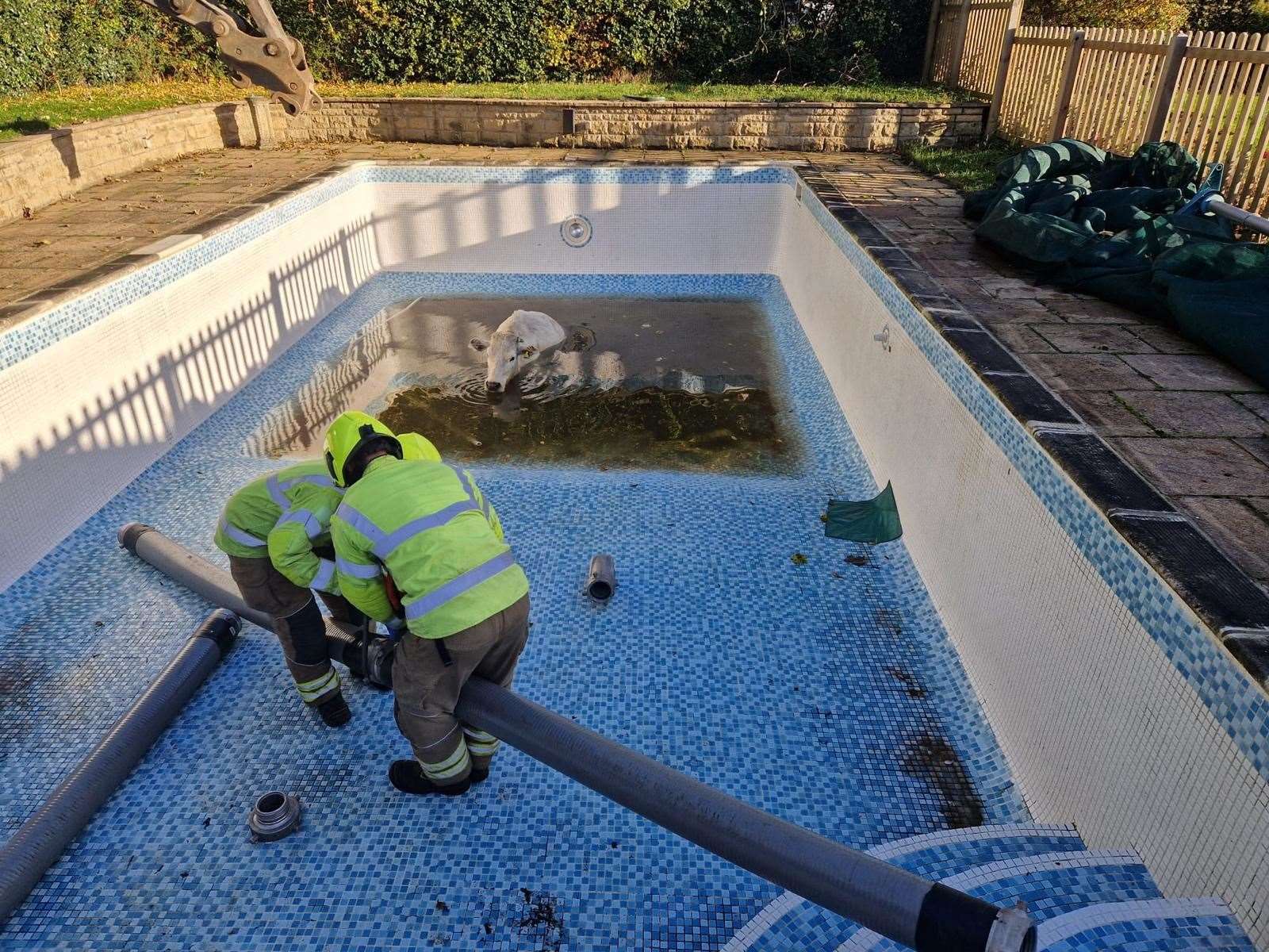 The team drained the pool and then lifted her to safety (Leicestershire Fire and Rescue Service/PA)