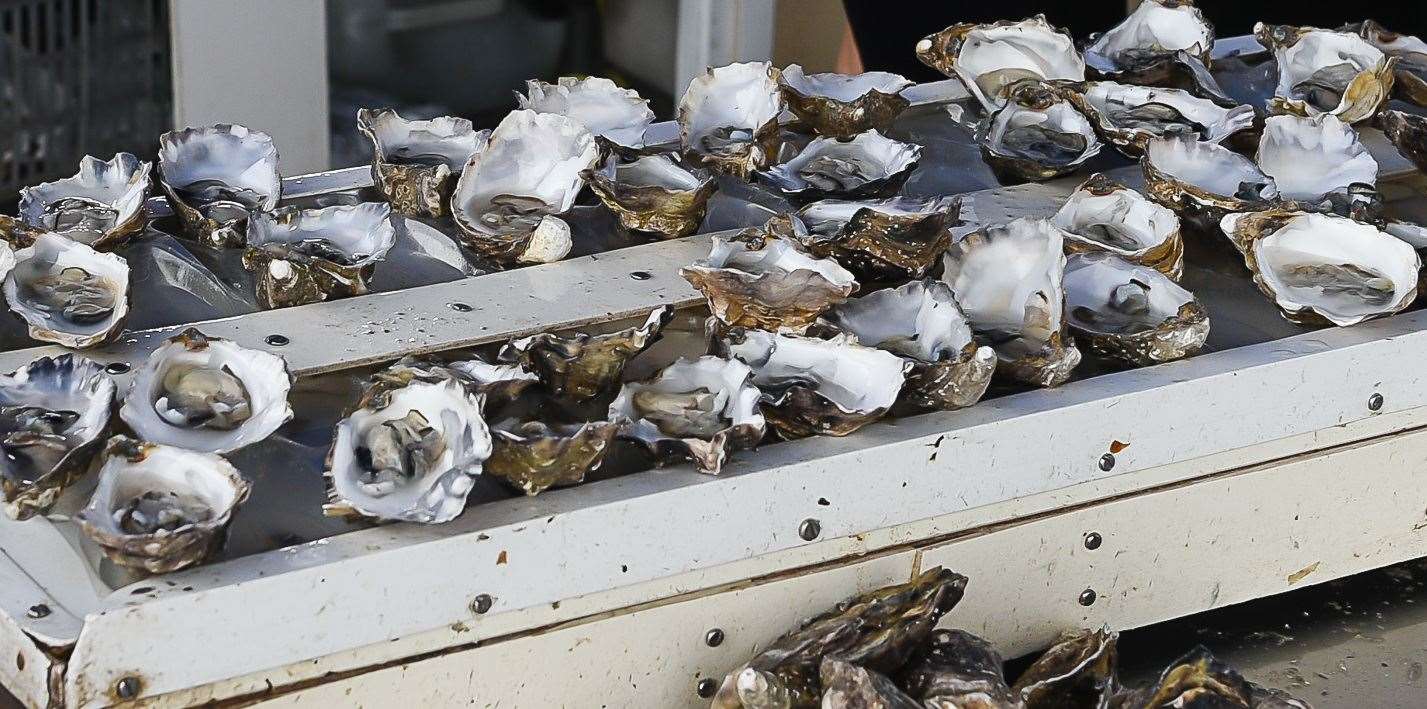 It's not known what happened to the oysters. Stock picture by Alan Langley