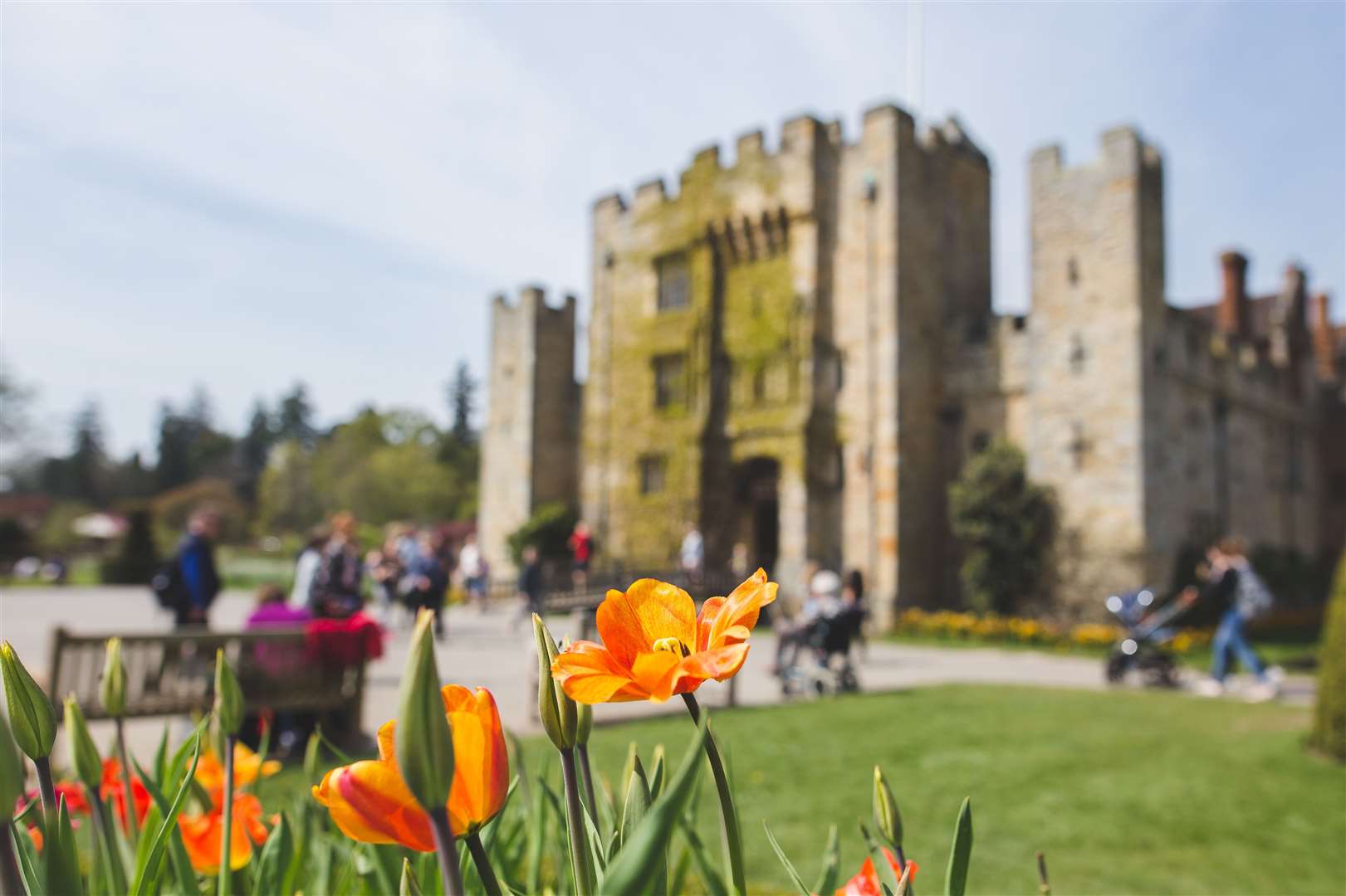 Hever Castle and Gardens