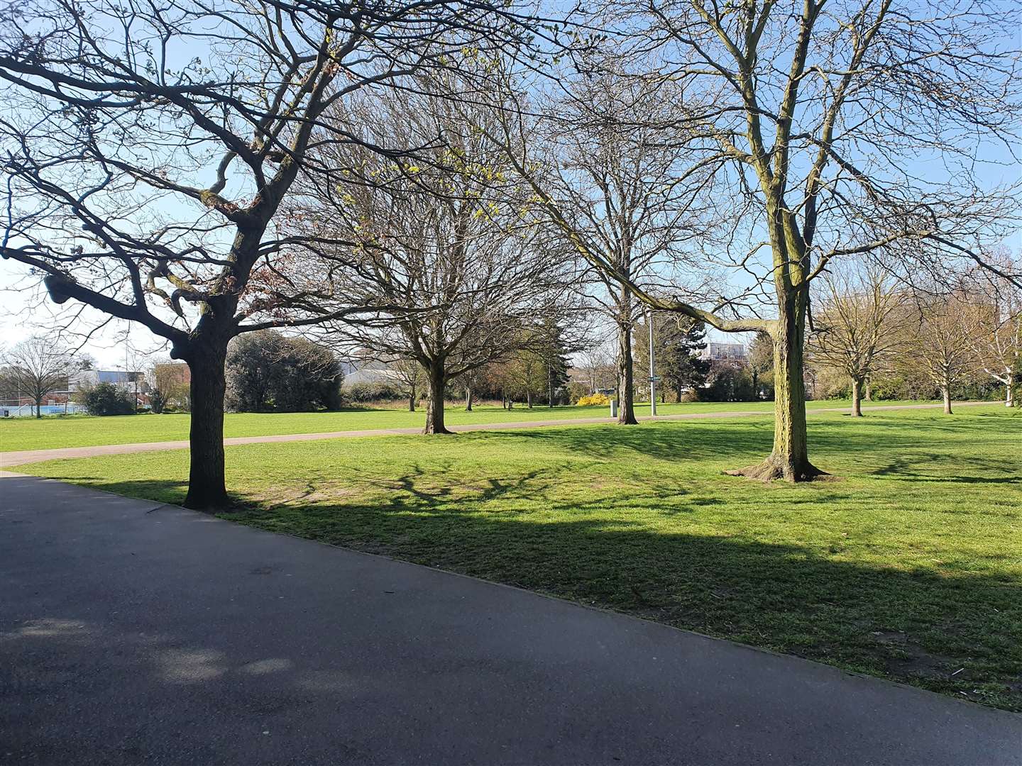 An air ambulance landed in Faversham Rec