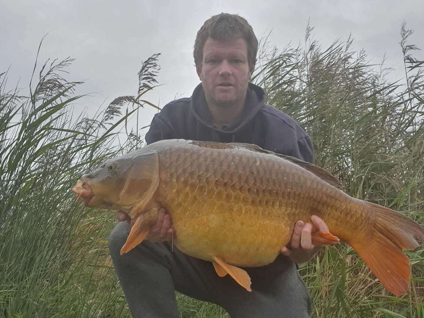 A stunning common carp.caught by Cieron Bull