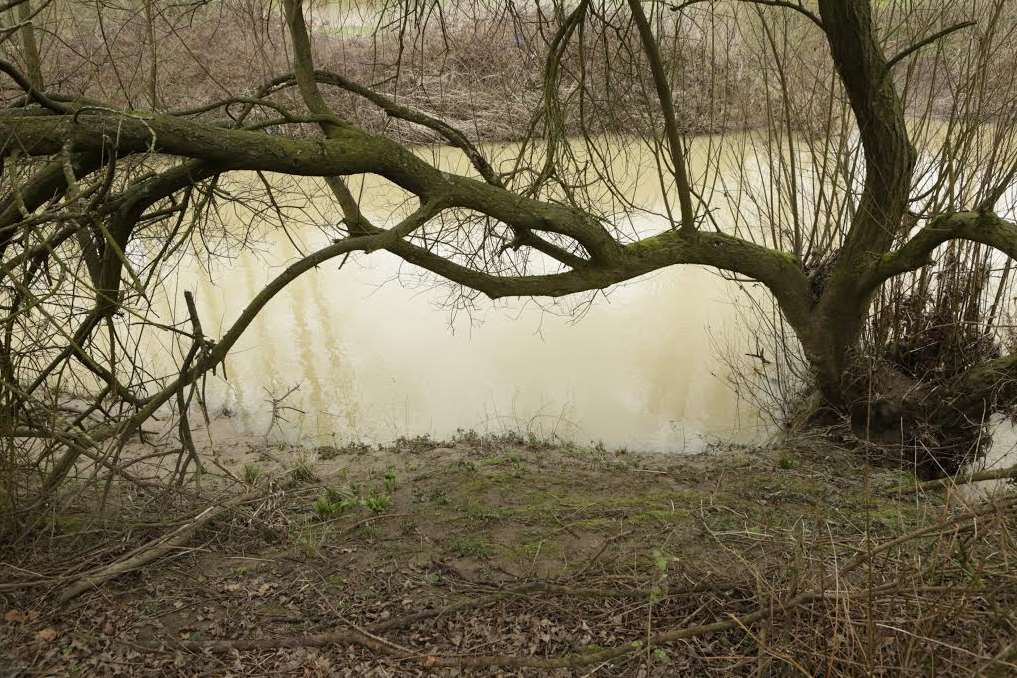 The River Beult, which is one of those under flood alert