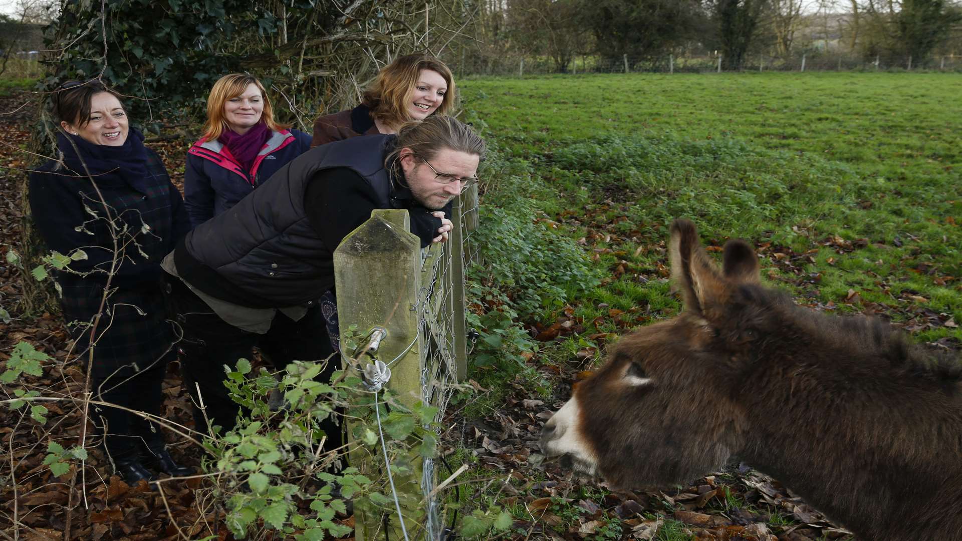 Children help look after the animals on Dandelion Time's farm. Picture: Martin Apps