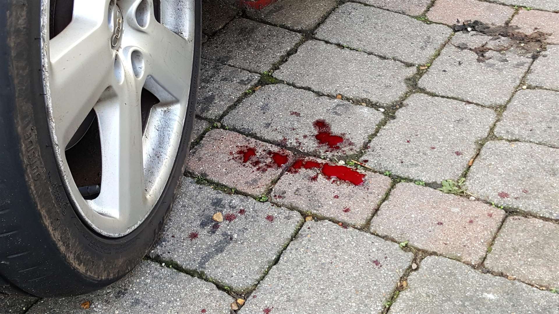 Blood on the drive outside a house on Canterbury Road in Willesborough, Ashford