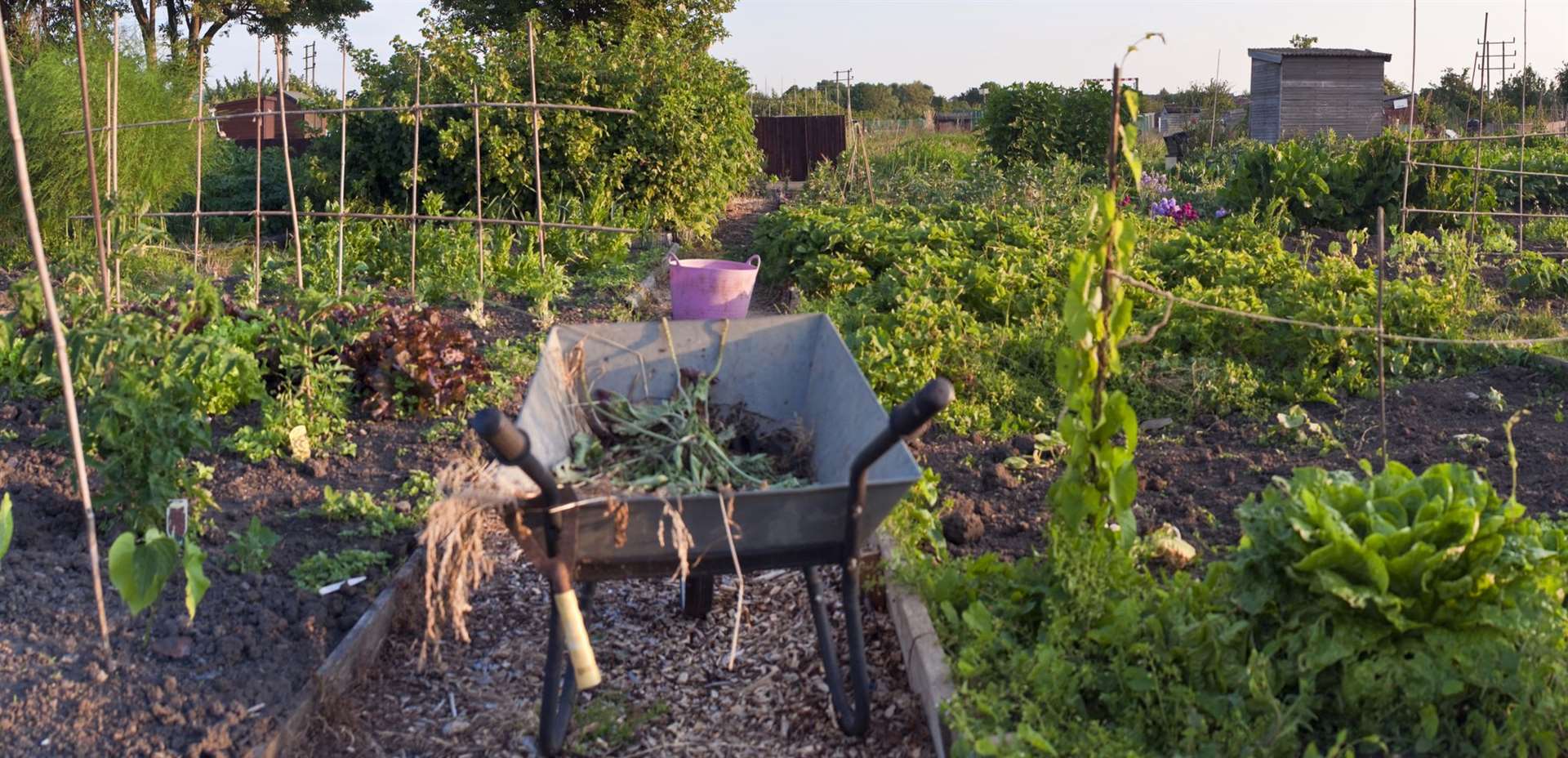 You could take a look at some allotments